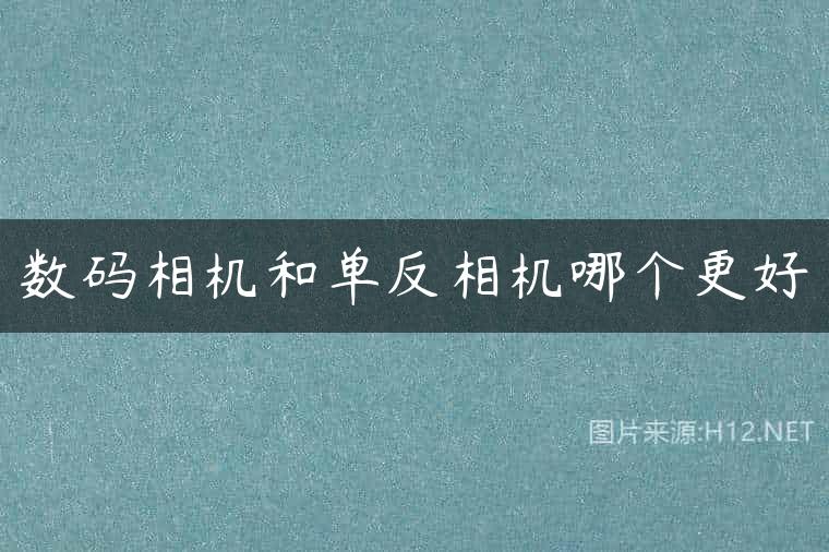 数码相机和单反相机哪个更好