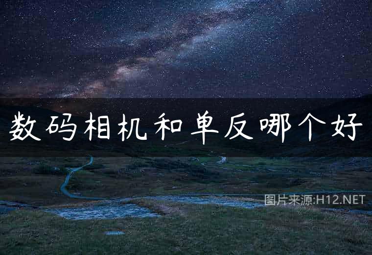 数码相机和单反哪个好