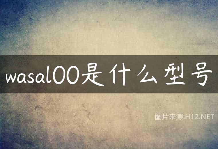 wasal00是什么型号