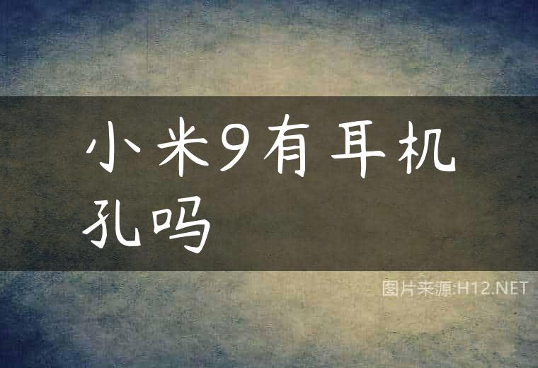 小米9有耳机孔吗