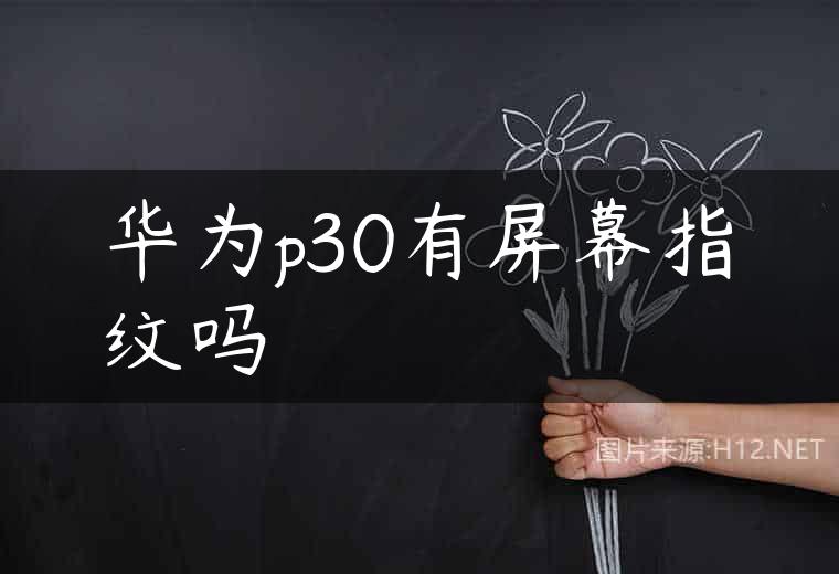 华为p30有屏幕指纹吗