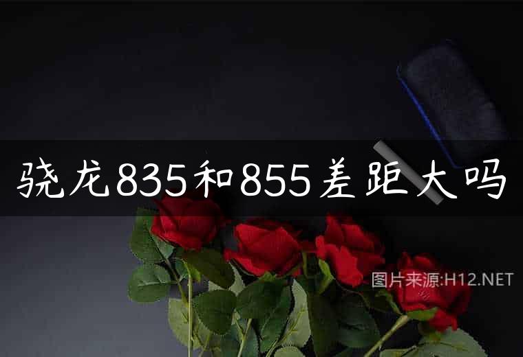 骁龙835和855差距大吗