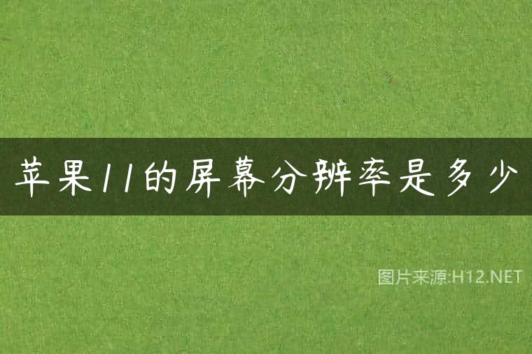 苹果11的屏幕分辨率是多少
