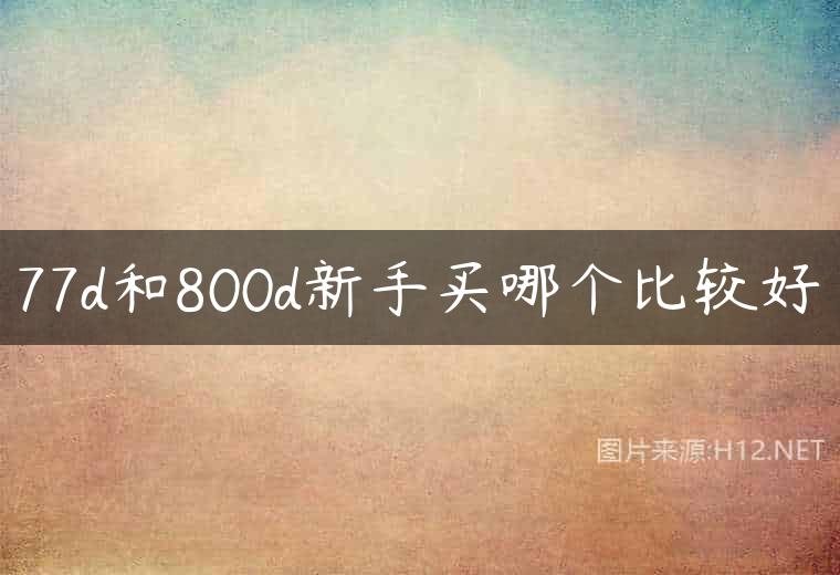 77d和800d新手买哪个比较好