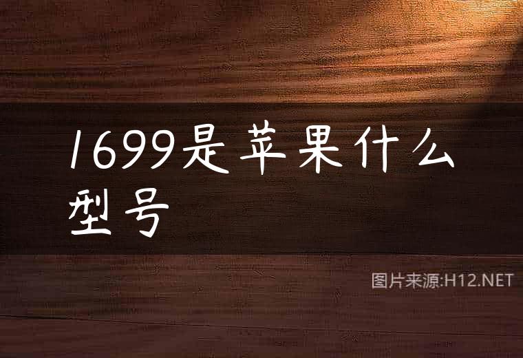 1699是苹果什么型号