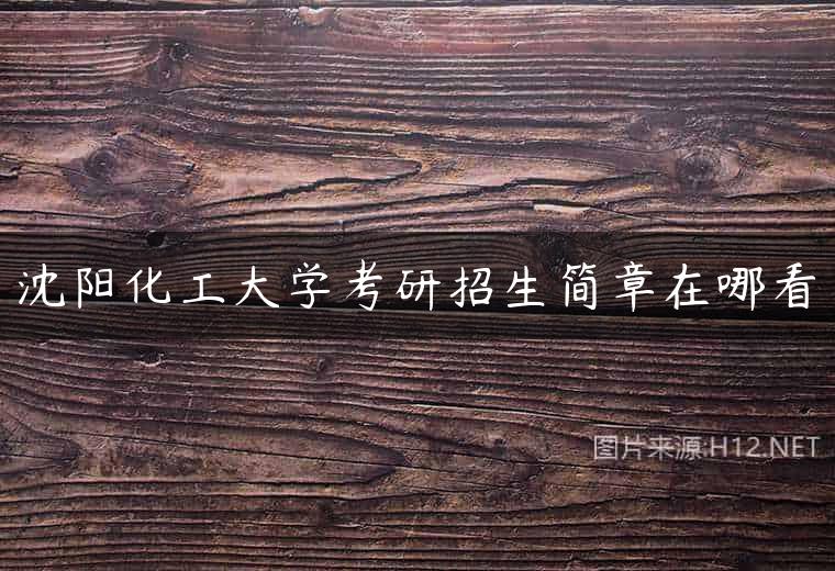 沈阳化工大学考研招生简章在哪看