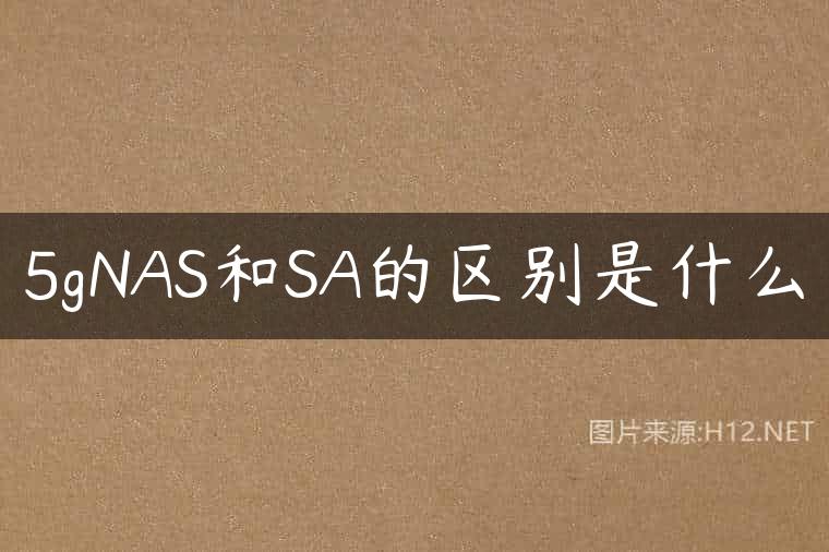 5gNAS和SA的区别是什么