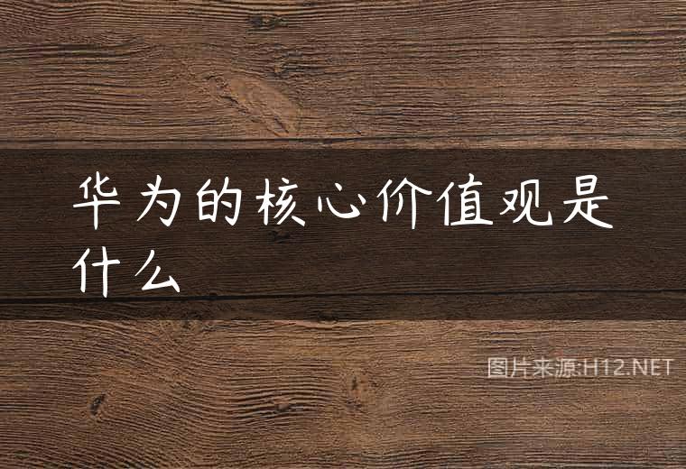 华为的核心价值观是什么