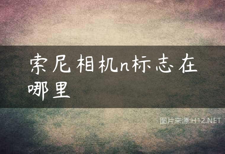 索尼相机n标志在哪里