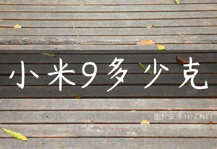 小米9多少克