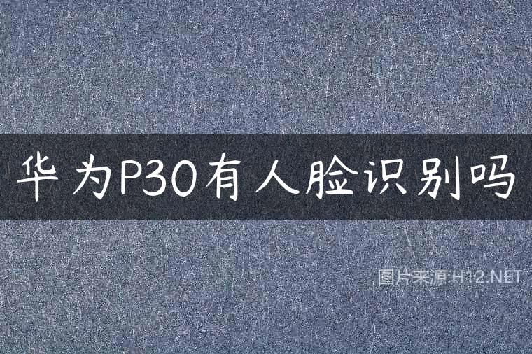 华为P30有人脸识别吗