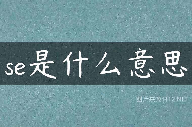 se是什么意思