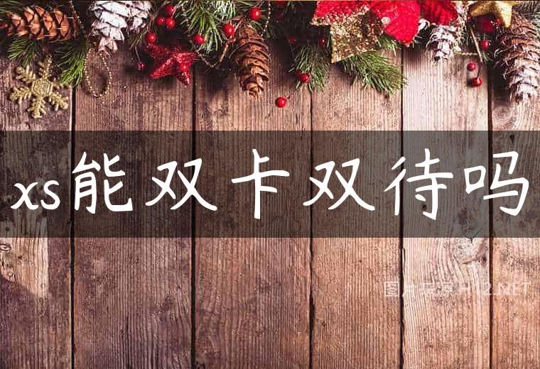 xs能双卡双待吗