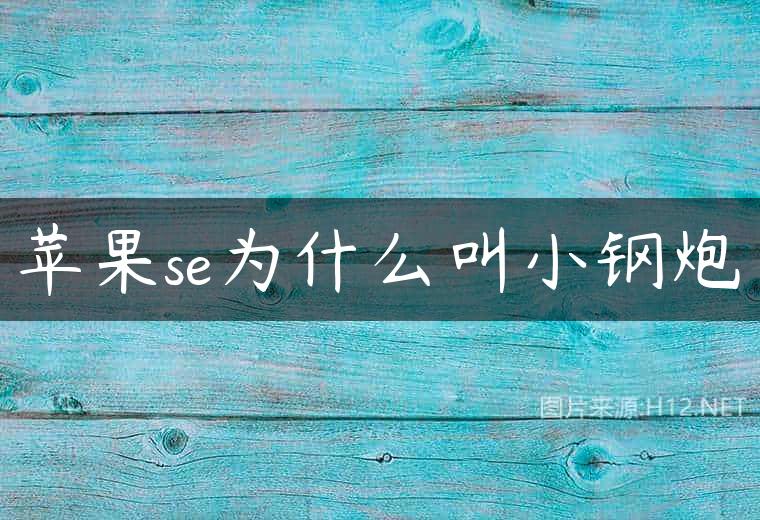 苹果se为什么叫小钢炮