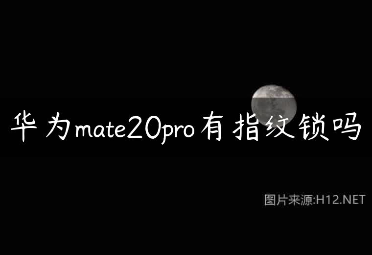 华为mate20pro有指纹锁吗