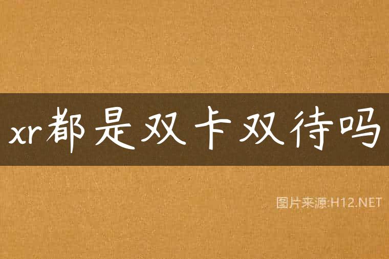 xr都是双卡双待吗
