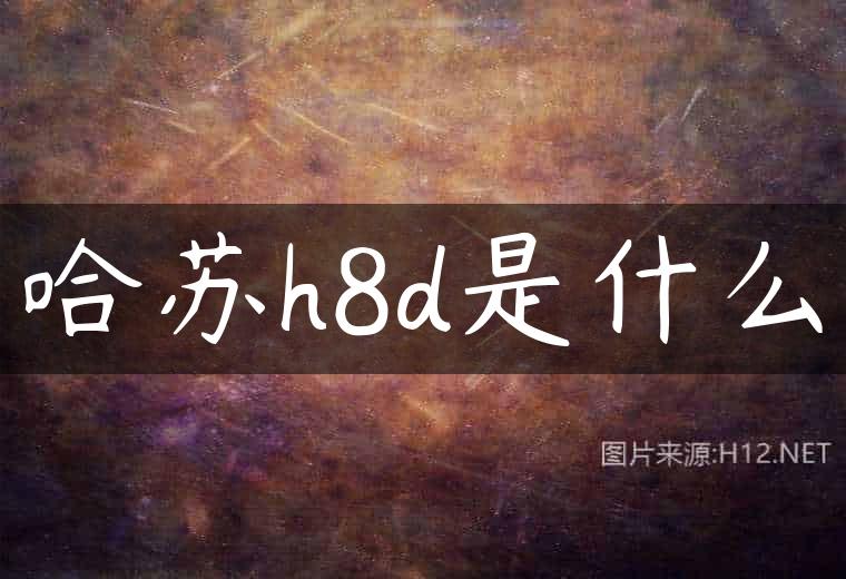 哈苏h8d是什么
