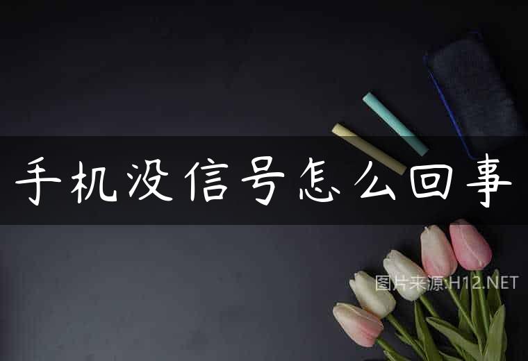 手机没信号怎么回事