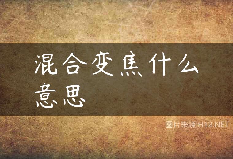 混合变焦什么意思