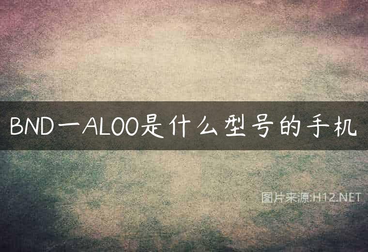 BND一AL00是什么型号的手机