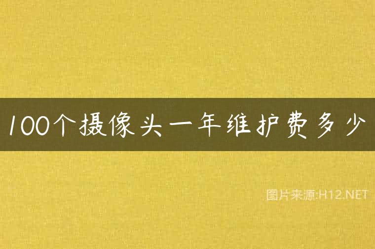 100个摄像头一年维护费多少