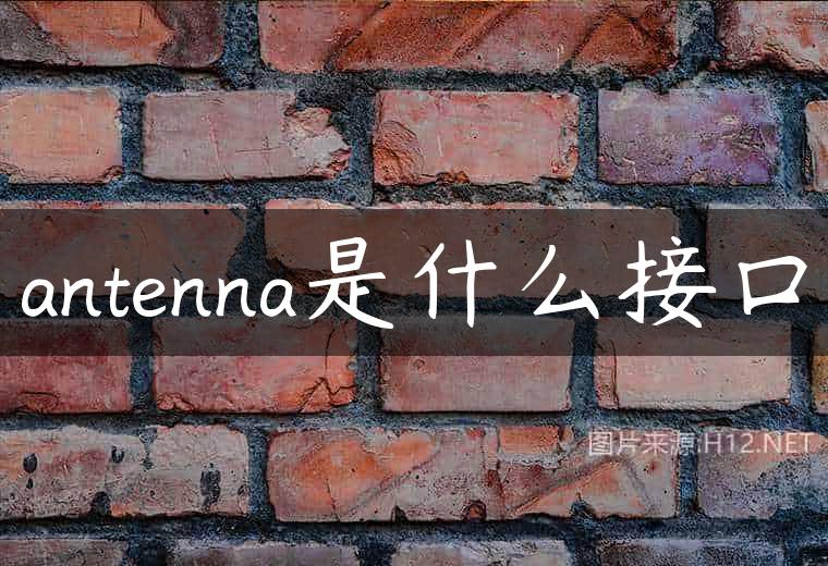 antenna是什么接口