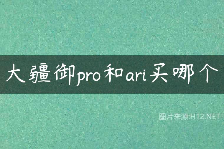 大疆御pro和ari买哪个