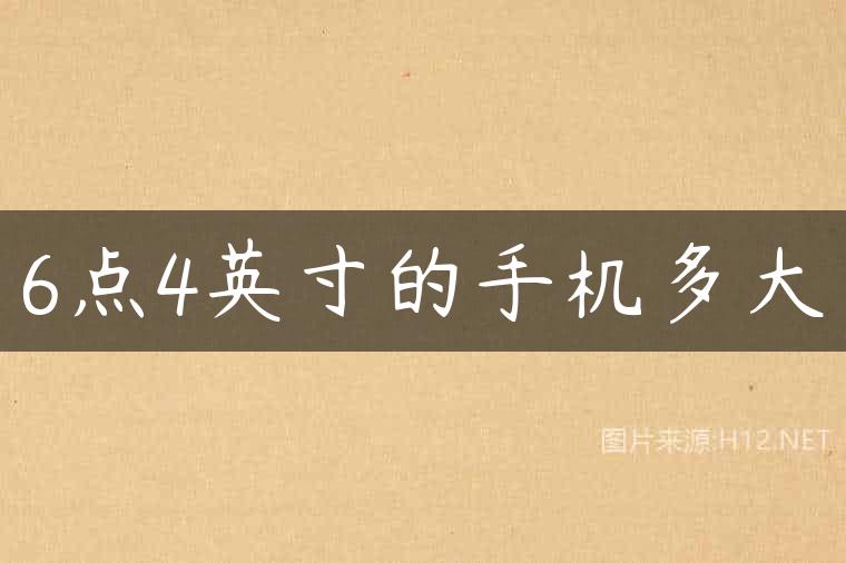 6点4英寸的手机多大