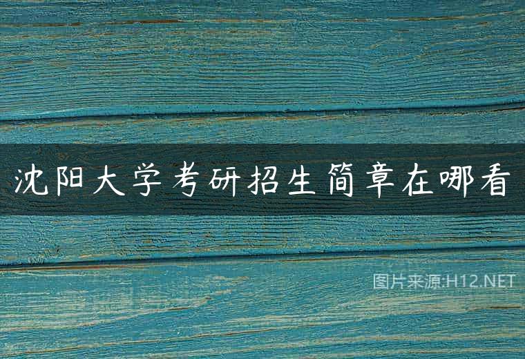 沈阳大学考研招生简章在哪看