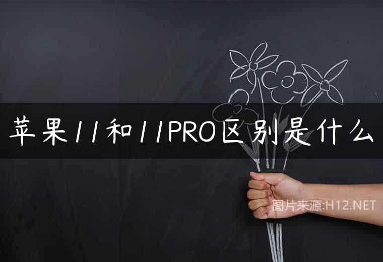 苹果11和11PRO区别是什么