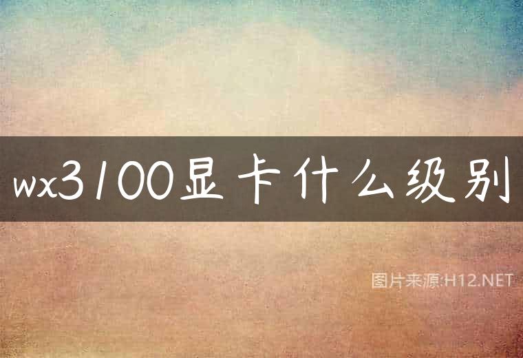 wx3100显卡什么级别