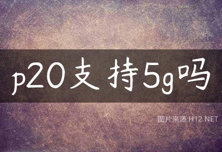 p20支持5g吗