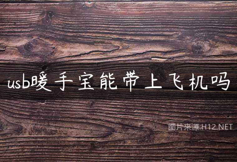 usb暖手宝能带上飞机吗