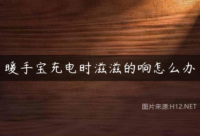 暖手宝充电时滋滋的响怎么办