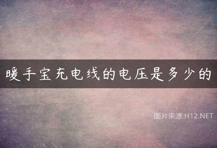 暖手宝充电线的电压是多少的
