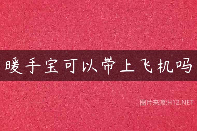 暖手宝可以带上飞机吗