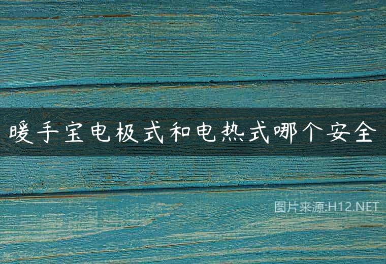 暖手宝电极式和电热式哪个安全