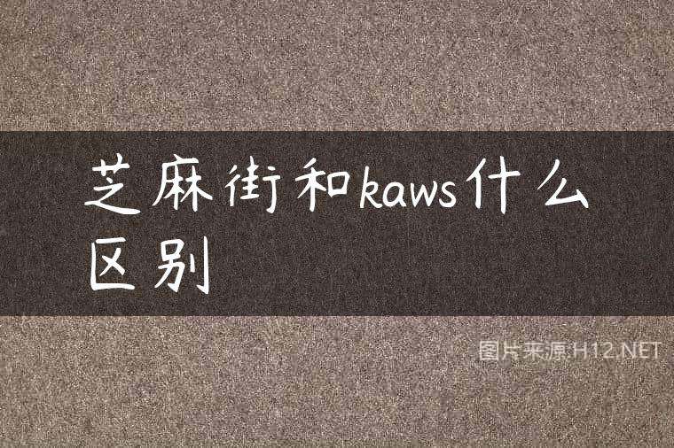 芝麻街和kaws什么区别
