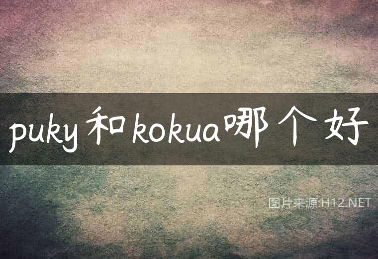 puky和kokua哪个好
