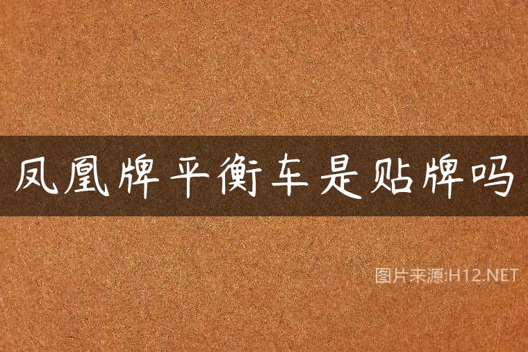 凤凰牌平衡车是贴牌吗