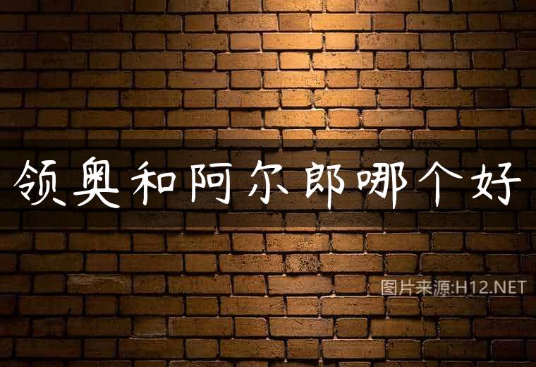 领奥和阿尔郎哪个好