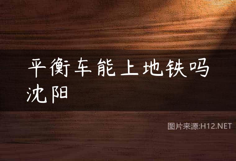 平衡车能上地铁吗沈阳