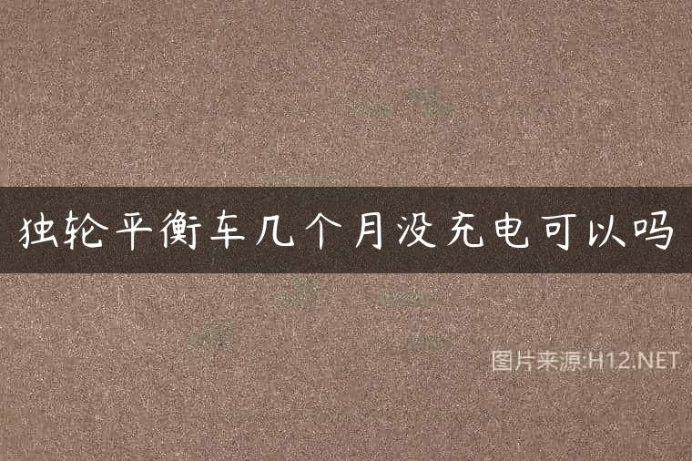 独轮平衡车几个月没充电可以吗
