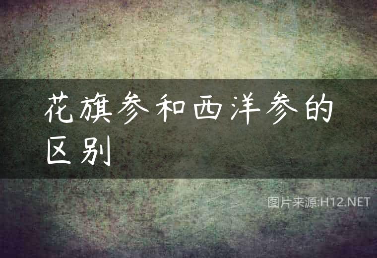 花旗参和西洋参的区别