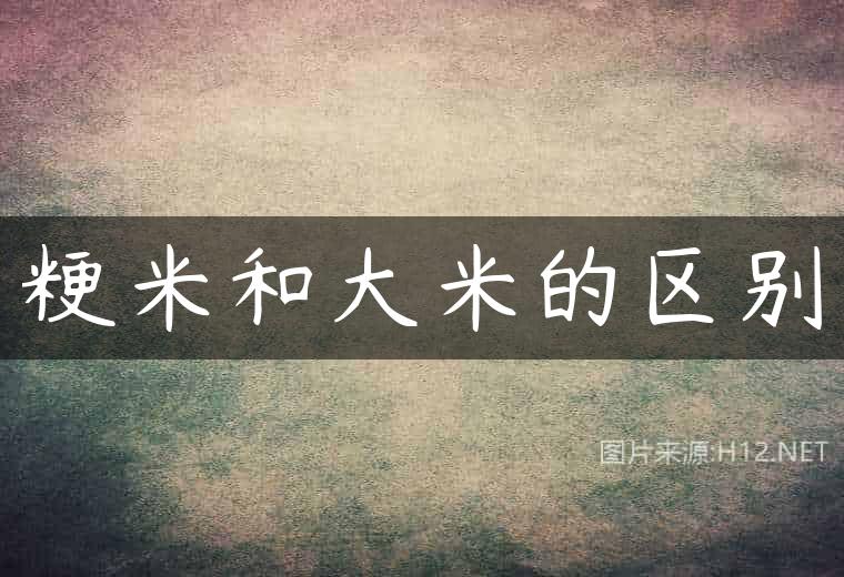 粳米和大米的区别