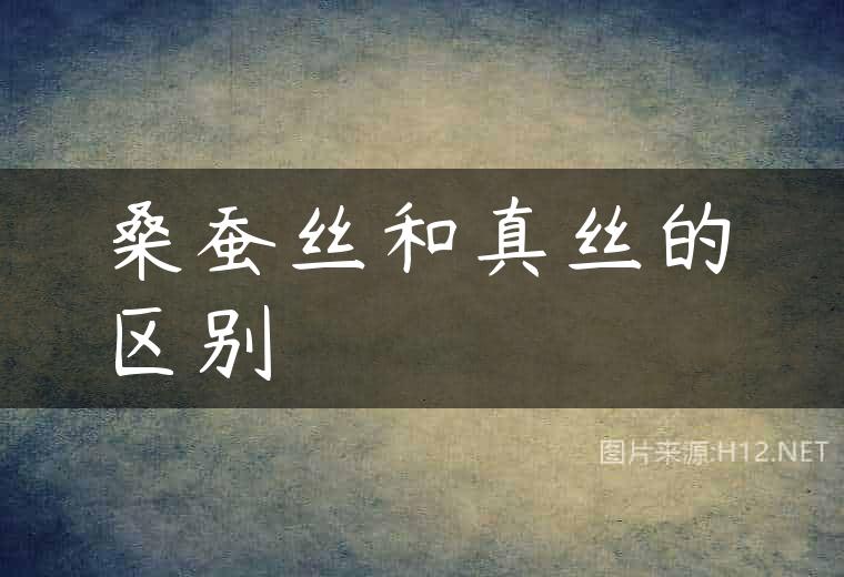 桑蚕丝和真丝的区别