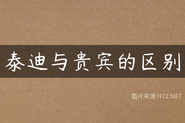 泰迪与贵宾的区别