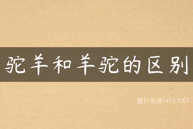 驼羊和羊驼的区别