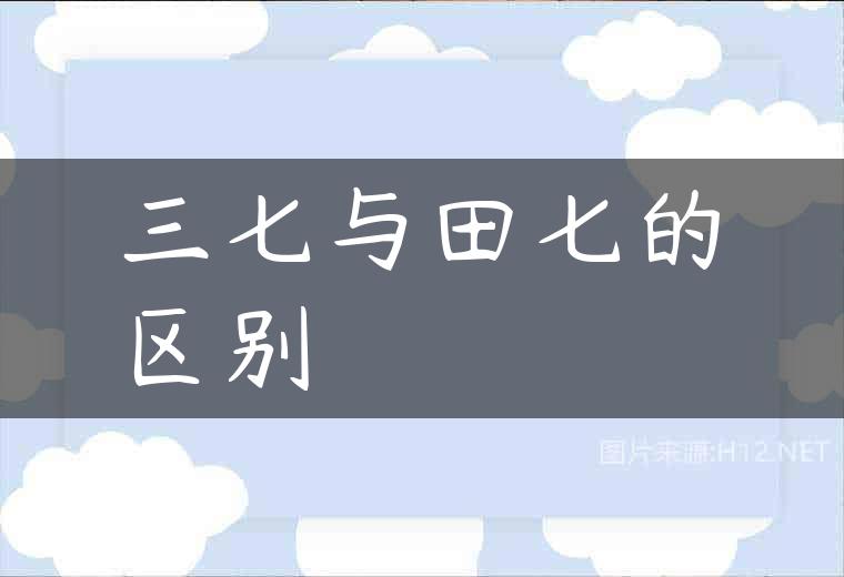 三七与田七的区别