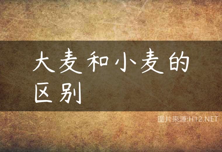 大麦和小麦的区别
